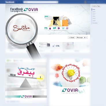 sinatrafacebookcampaigns