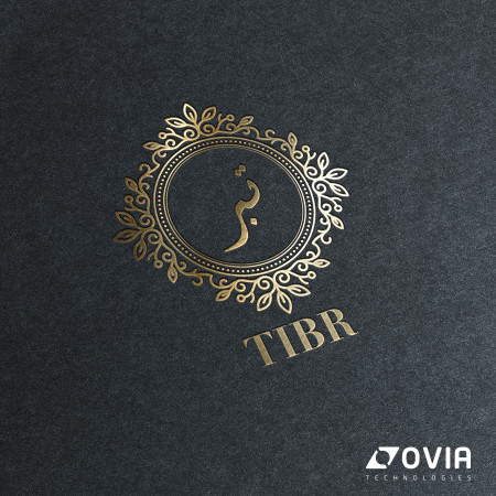 Tibr Logo Website